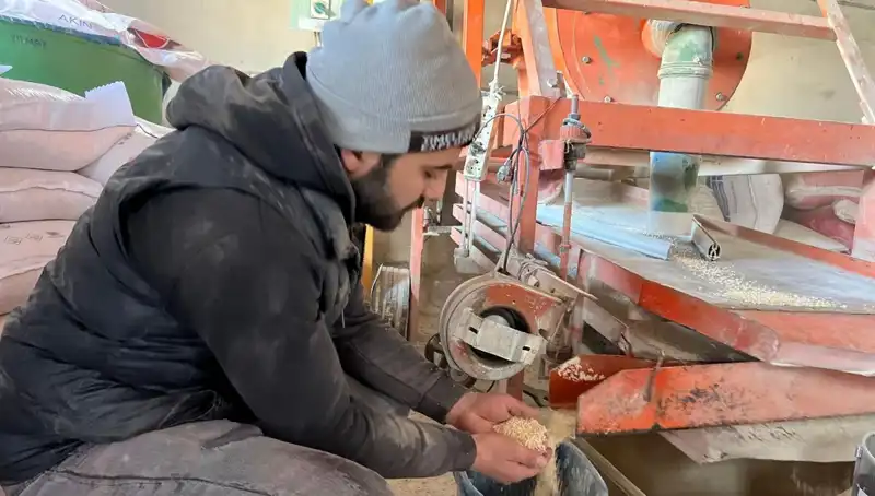 Baharın Gelmesiyle İş Ve Sosyal Hayatta Artan Hareketlilik Nedenleri