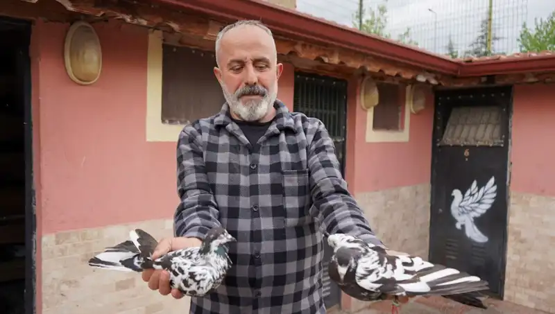 42 Yıllık Hobi Profesyonel Tesise Dönüşünce: İl Dışından Gelen Yoğun Talep