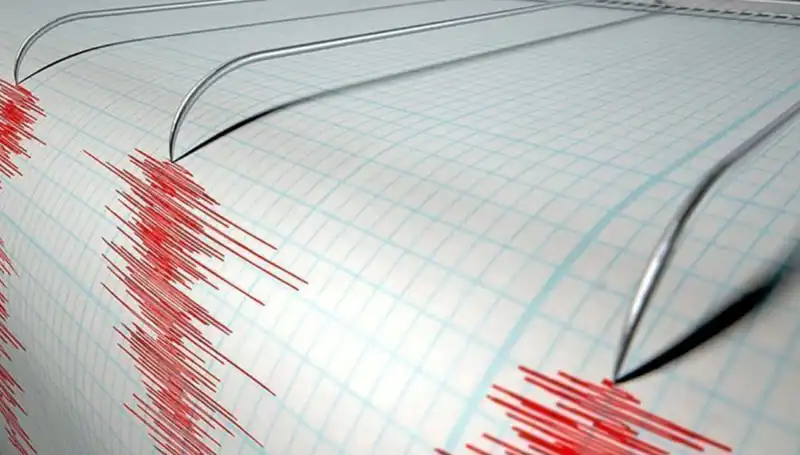 : Yeni Zelanda'da Şiddetli Deprem: Ülke Sarsıldı, İlk Bilgiler Geldi