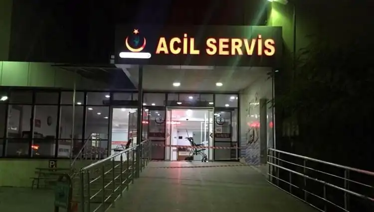 Kardeş Kavgalarında Nedenler ve Sonuçlar: Büyüyen Şiddet Olgusu