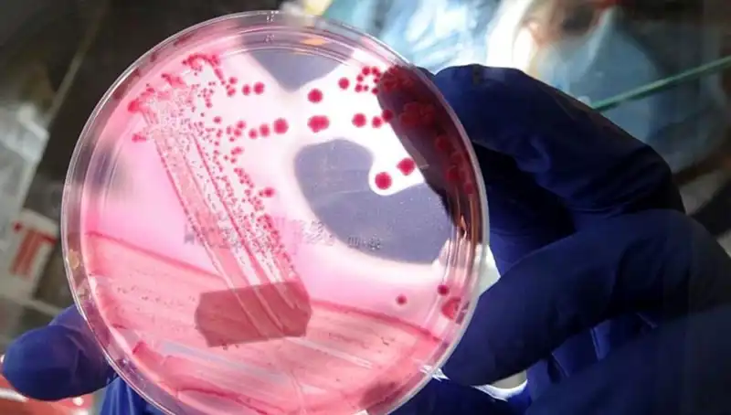 Bilim İnsanları, Yaşlanmayı Geciktiren AP2A1 Proteinini Keşfetti!